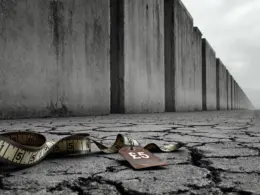 100012428 1741900162