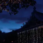 100012464 1741901253