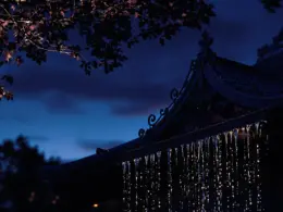 100012464 1741901253