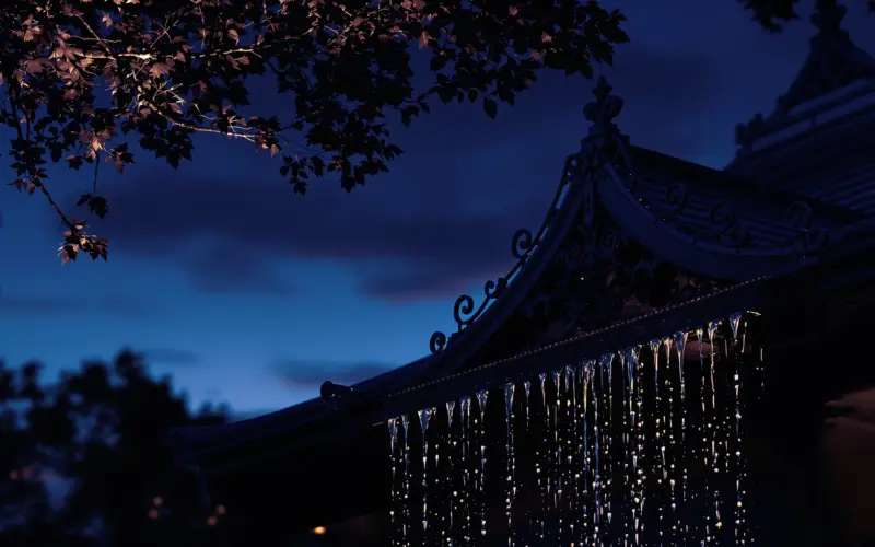 100012464 1741901253